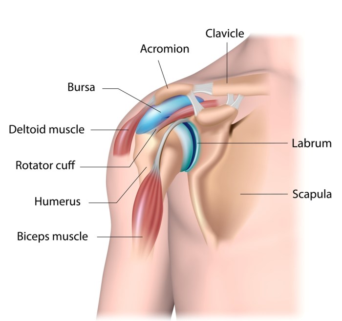 Shoulder Injuries